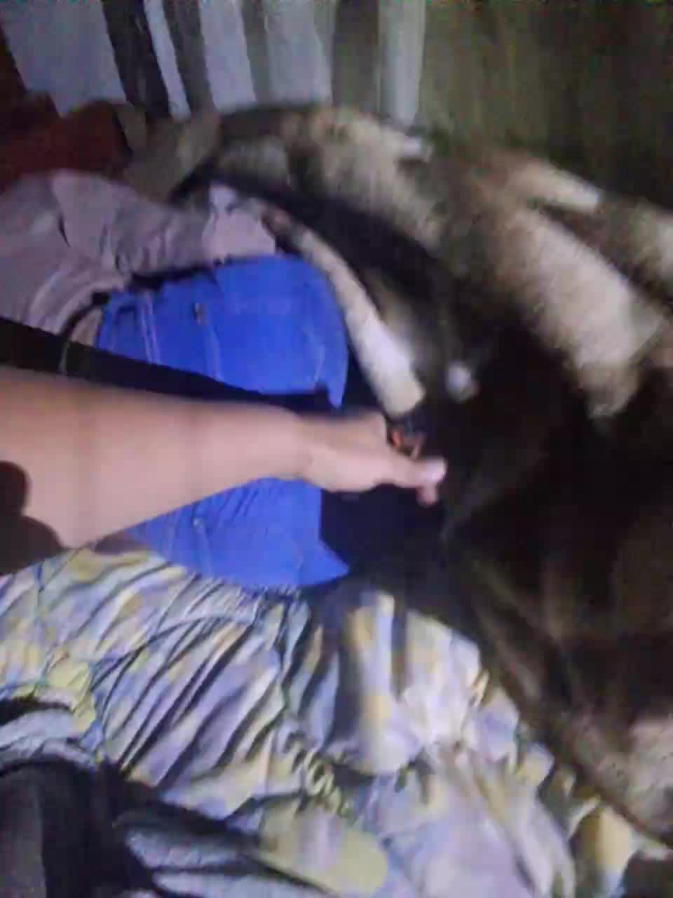 paradise-mmm Live Sex September 7, 2025