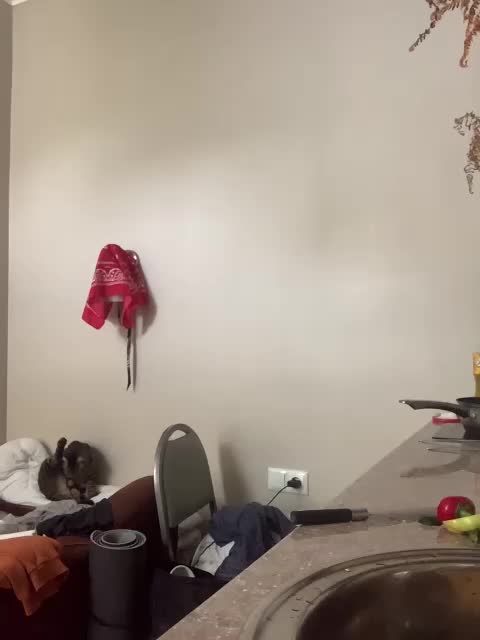 BunnyForceSolo Live Sex December 14, 2025