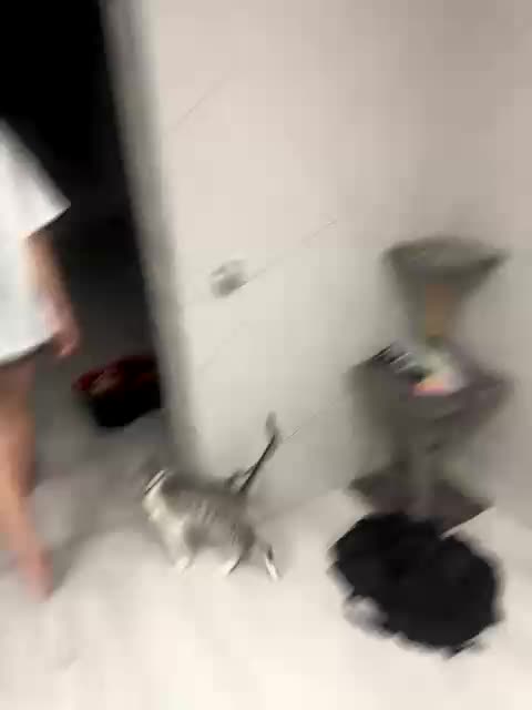 Alinagilberd03 Live Sex December 15, 2025