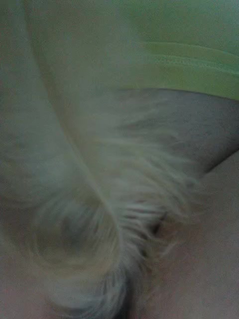 Tata42 Live Sex December 17, 2025