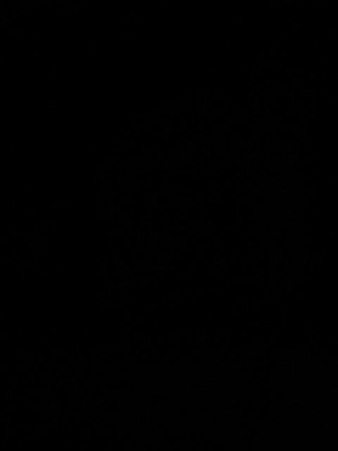 family2020 Live Sex December 12, 2025