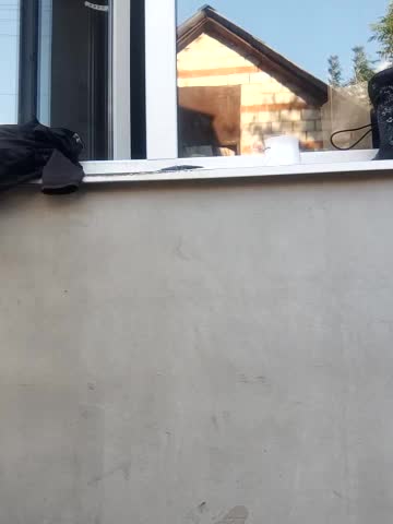 Niht_Angels Live Sex December 13, 2025