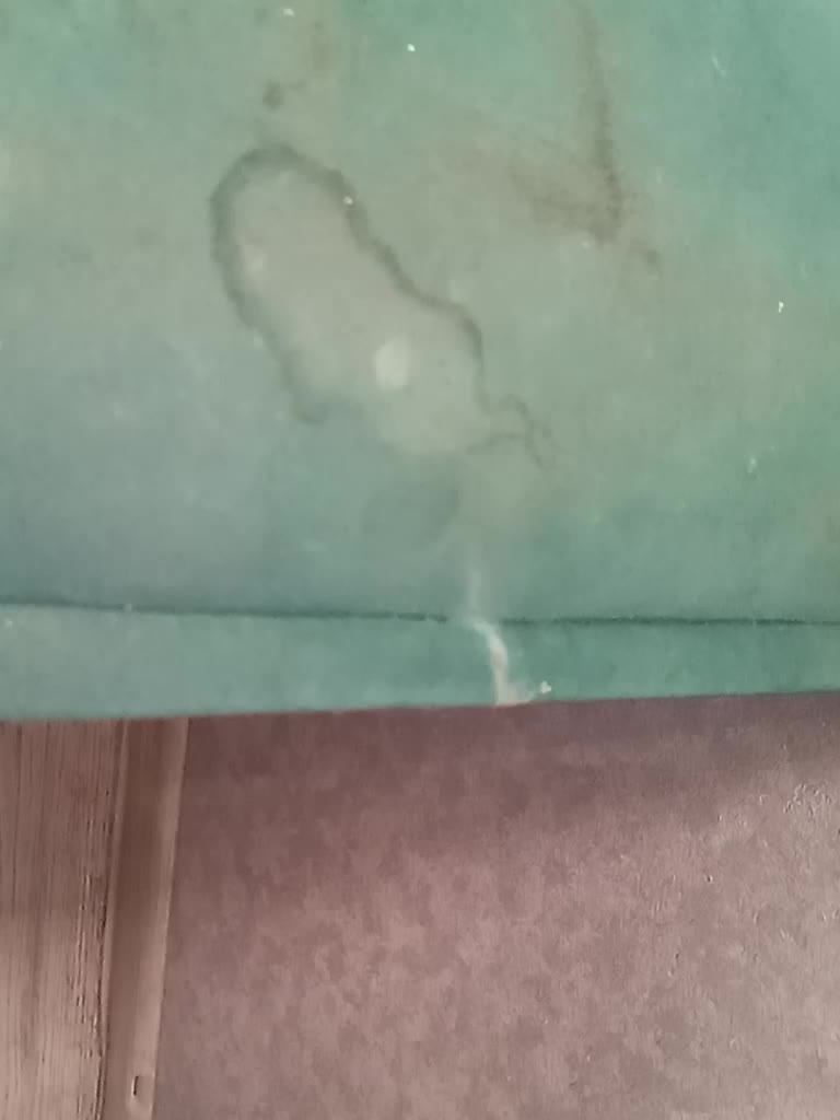 Lily8 Live Sex December 14, 2025