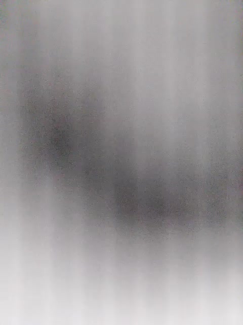 WildMerry Live Sex December 13, 2025