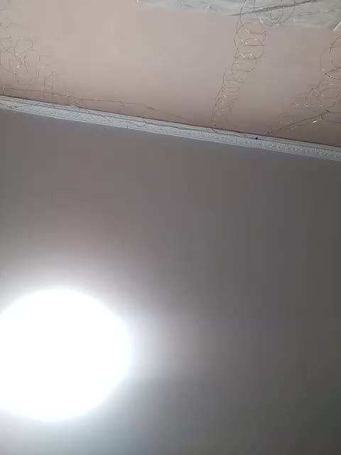 kabiriya10034 Live Sex December 13, 2025