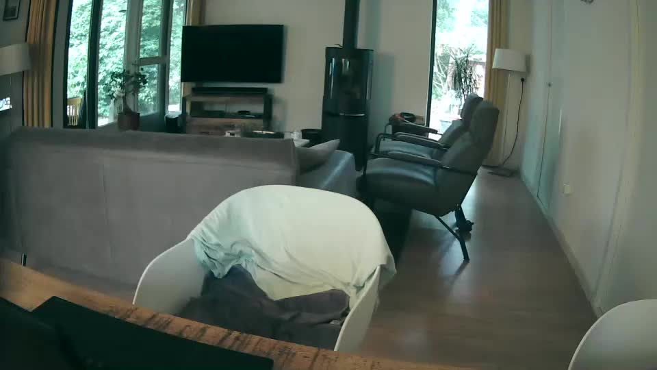 woodwurm Live Sex December 18, 2025