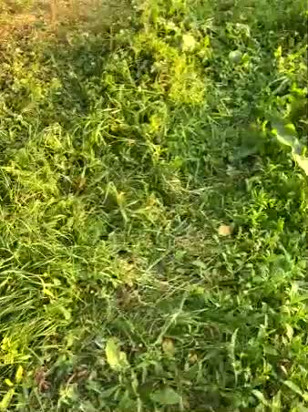 My-love2017 Live Sex September 10, 2025