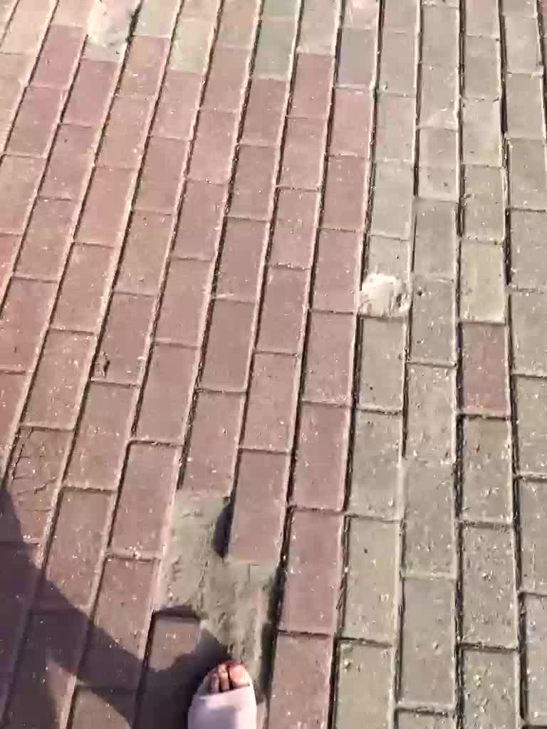 Trin_ Live Sex December 17, 2025