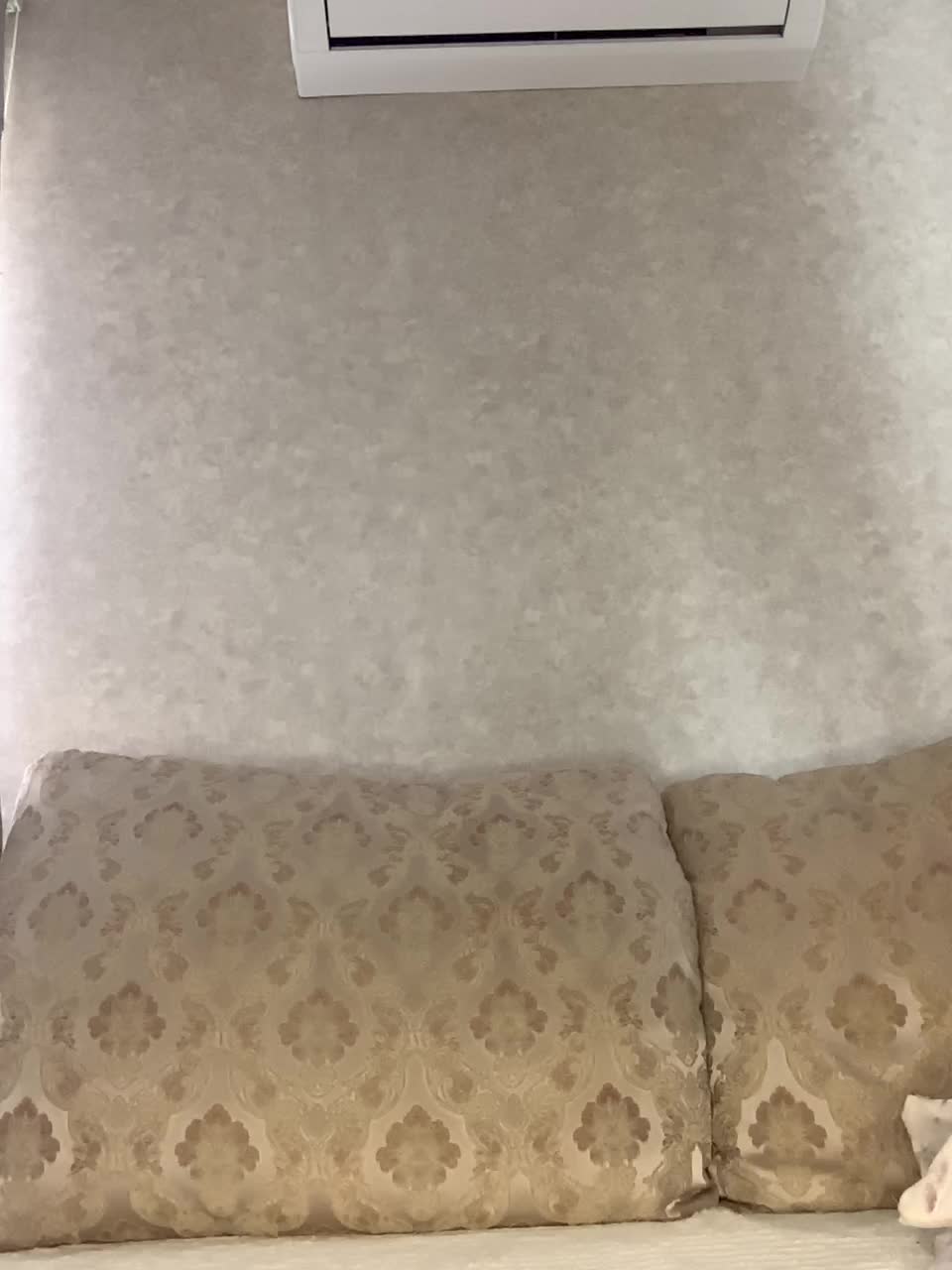 -ALLSAINT- Live Sex December 14, 2025