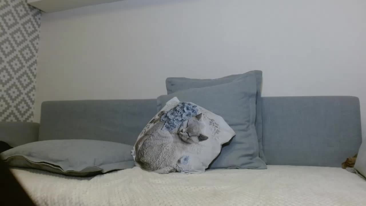 albinochka888 Live Sex December 17, 2025