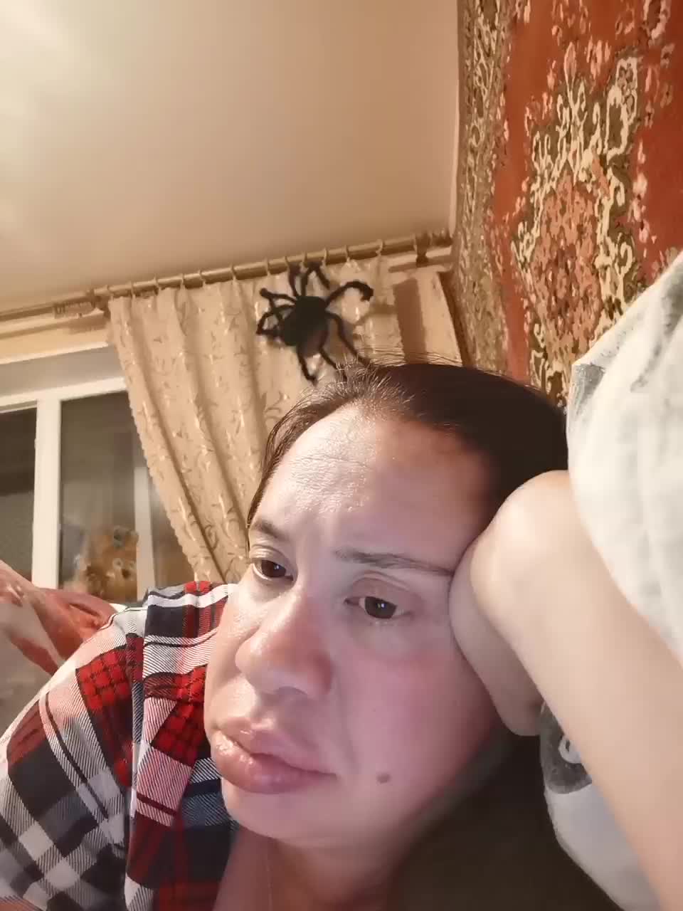 catsloveqq Live Sex December 13, 2025