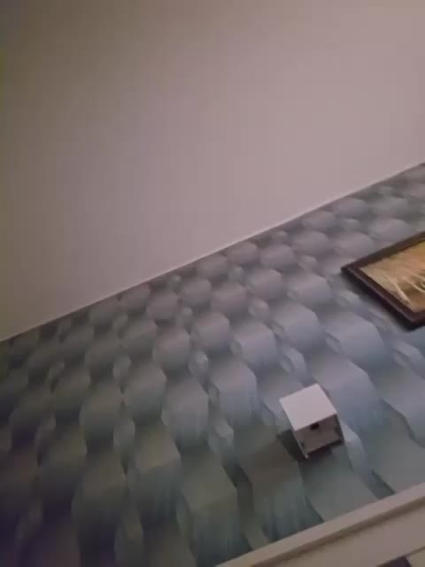 VCHELSIV Live Sex December 19, 2025