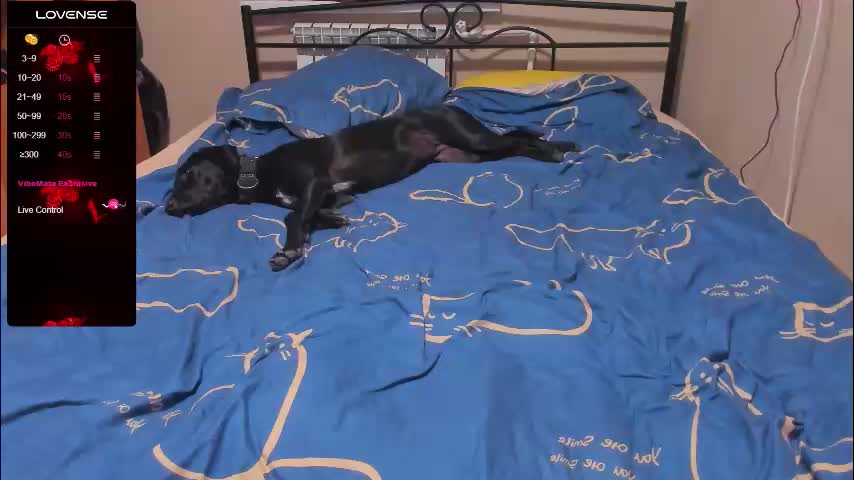 eva_zero Live Sex December 15, 2025