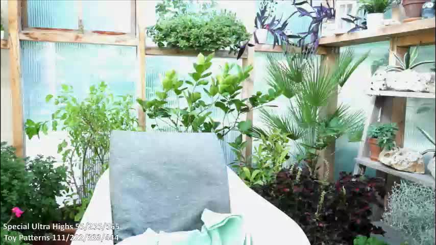 yournaughtypixie Live Sex December 13, 2025