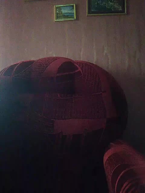 Xo4y-Tpax Live Sex December 14, 2025