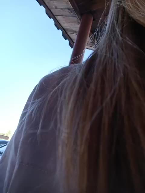 Savuka Live Sex December 13, 2025