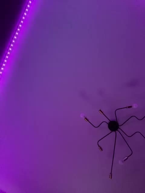 HotlineMiami Live Sex December 13, 2025