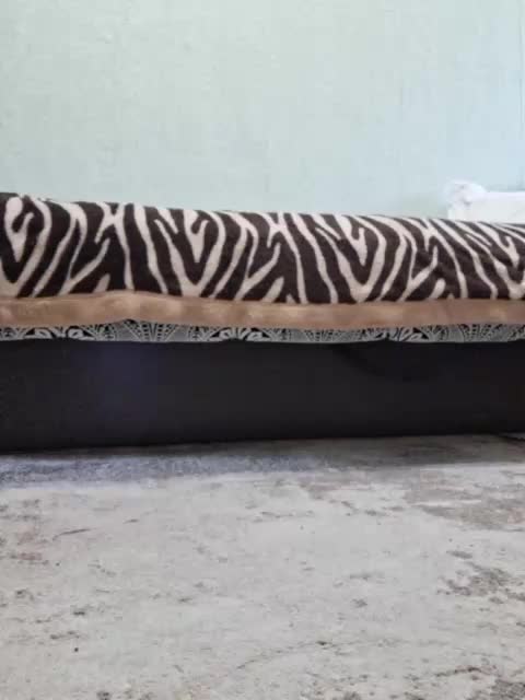 Malvina11 Live Sex December 14, 2025