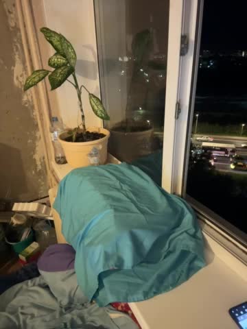 SSaibaliii Live Sex December 19, 2025