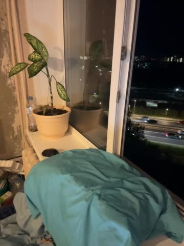 SSaibaliii Live Sex December 19, 2025