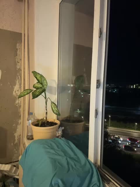 SSaibaliii Live Sex December 19, 2025