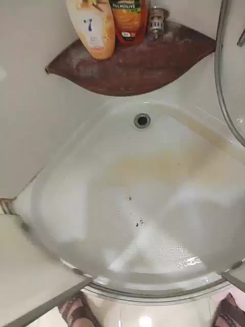 Paradise_1 Live Sex 2025.09.13