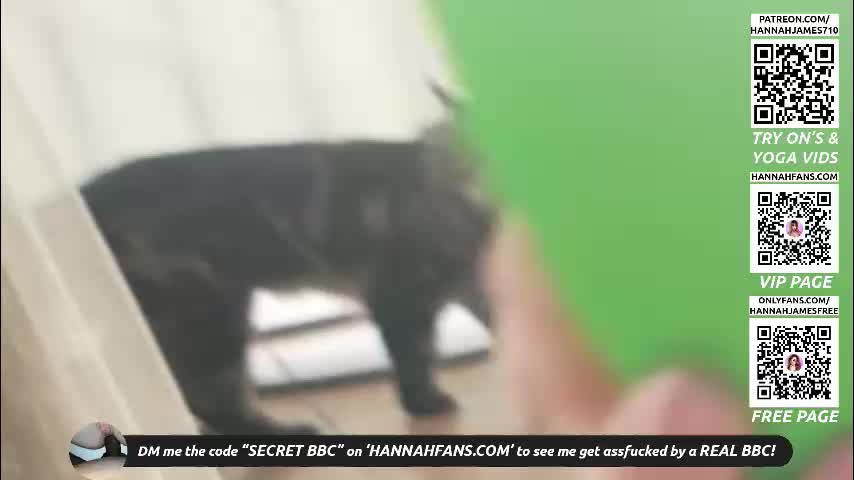 hannahjames710 Live Sex December 13, 2025