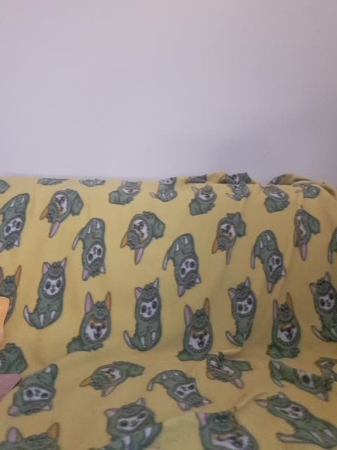 Mimimigirl Live Sex December 19, 2025