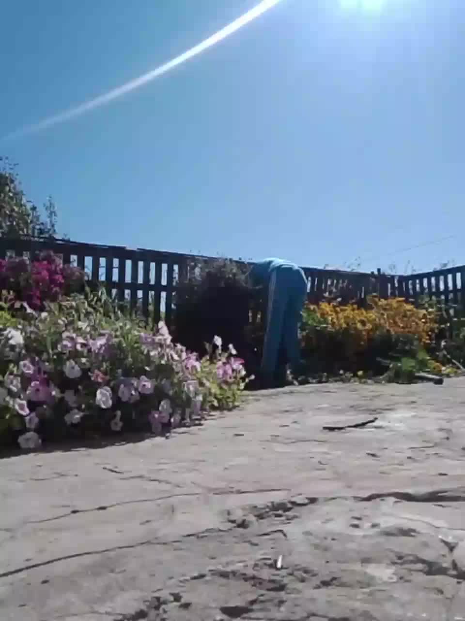 Para26 Live Sex December 13, 2025