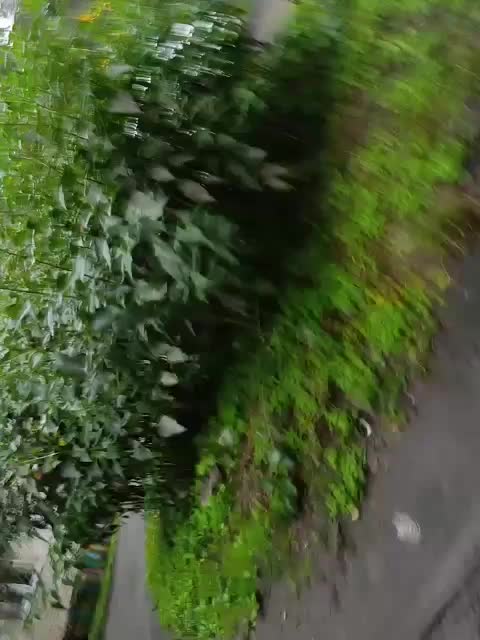 Sweetie29a Live Sex September 14, 2025