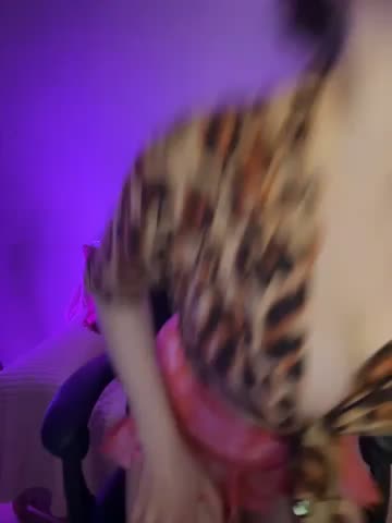 Your_insomniya Live Sex December 13, 2025