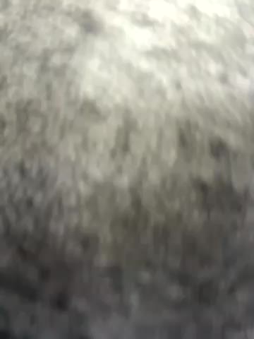 AleksandraRich Live Sex December 17, 2025