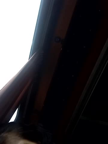 ChantalXOrchid Live Sex December 13, 2025