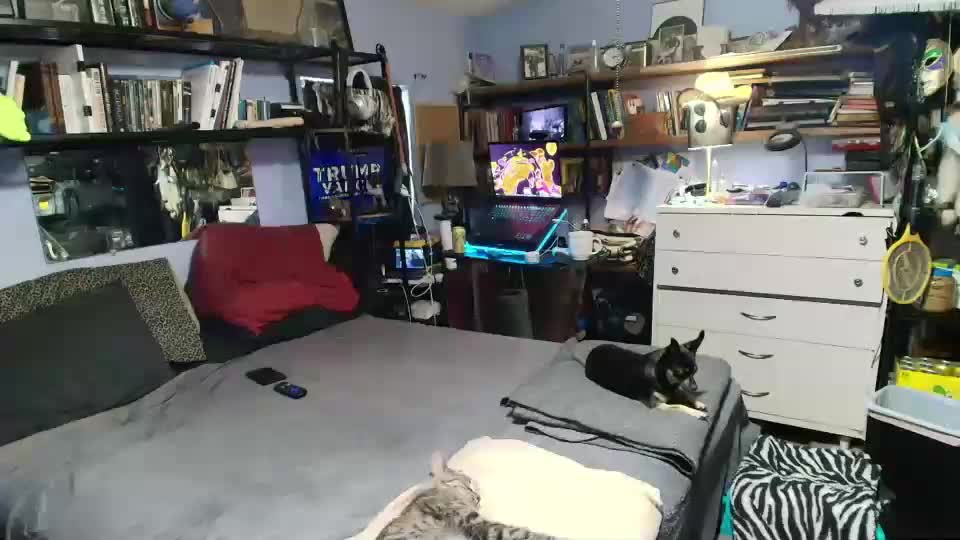 pink_black Live Sex December 17, 2025