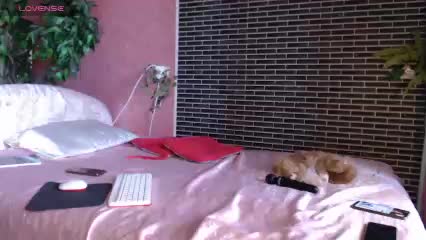 irmaXX Live Sex December 17, 2025