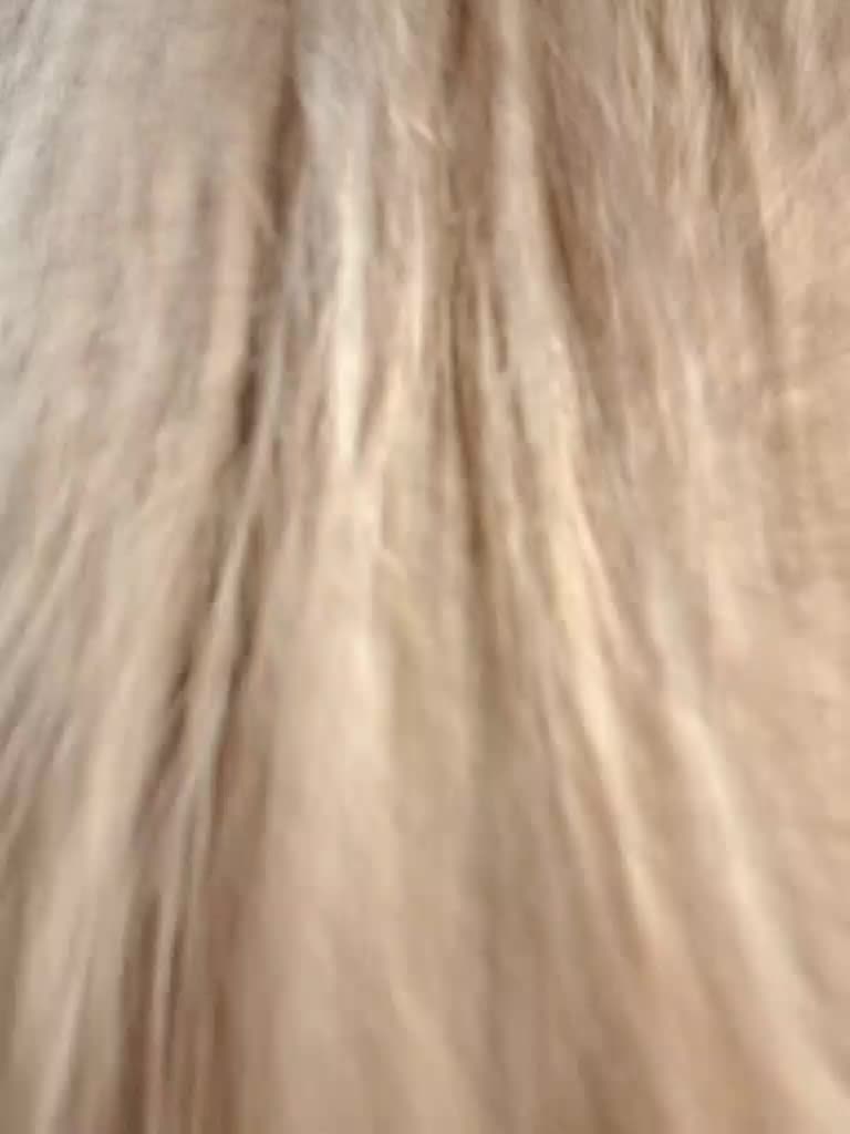 -scyrim- Live Sex December 18, 2025