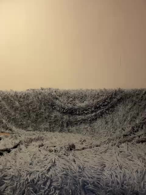 S_I_L_E_N_A Live Sex 2025.09.15