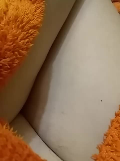 GolayaPravda Live Sex December 13, 2025