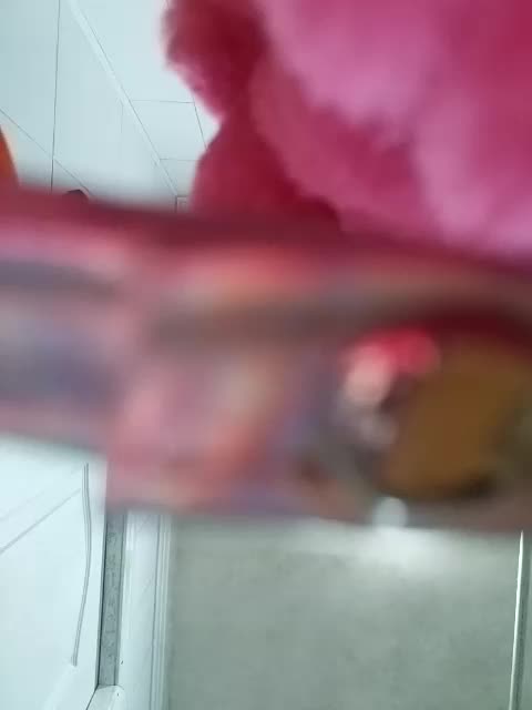 kabiriya10034 Live Sex December 13, 2025