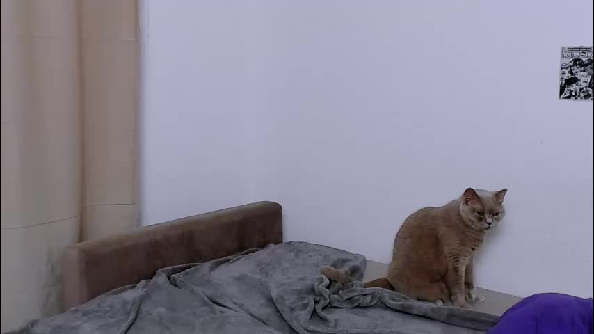 ladytrep Live Sex December 14, 2025