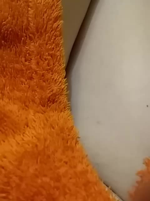 GolayaPravda Live Sex December 13, 2025