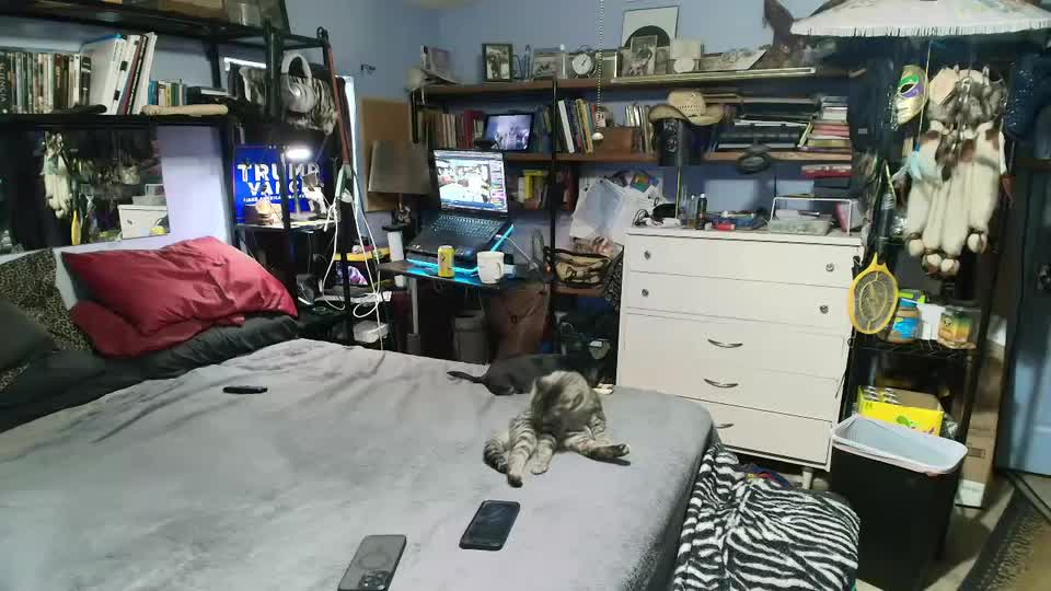 pink_black Live Sex December 17, 2025