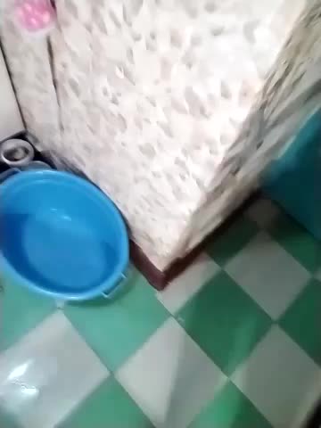 Holly-69 Live Sex December 14, 2025