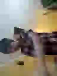 Kira700cams Live Sex December 14, 2025