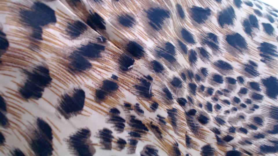 Veta-Viola Live Sex December 17, 2025