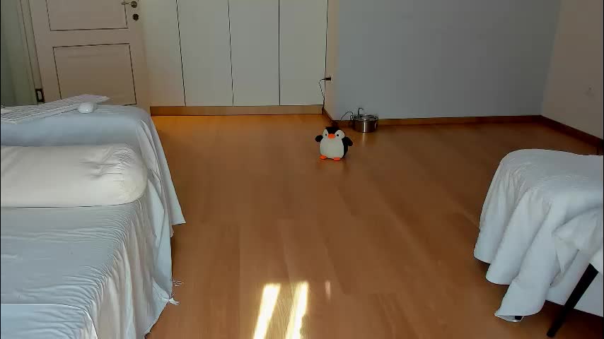 bella_hot77 Live Sex December 13, 2025