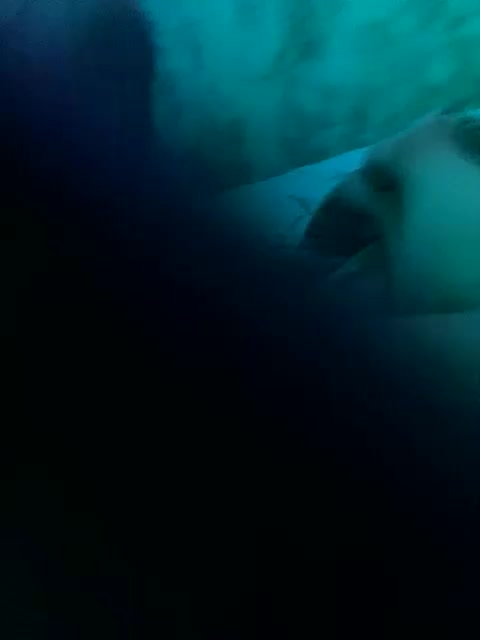 SashaLena728 Live Sex December 13, 2025