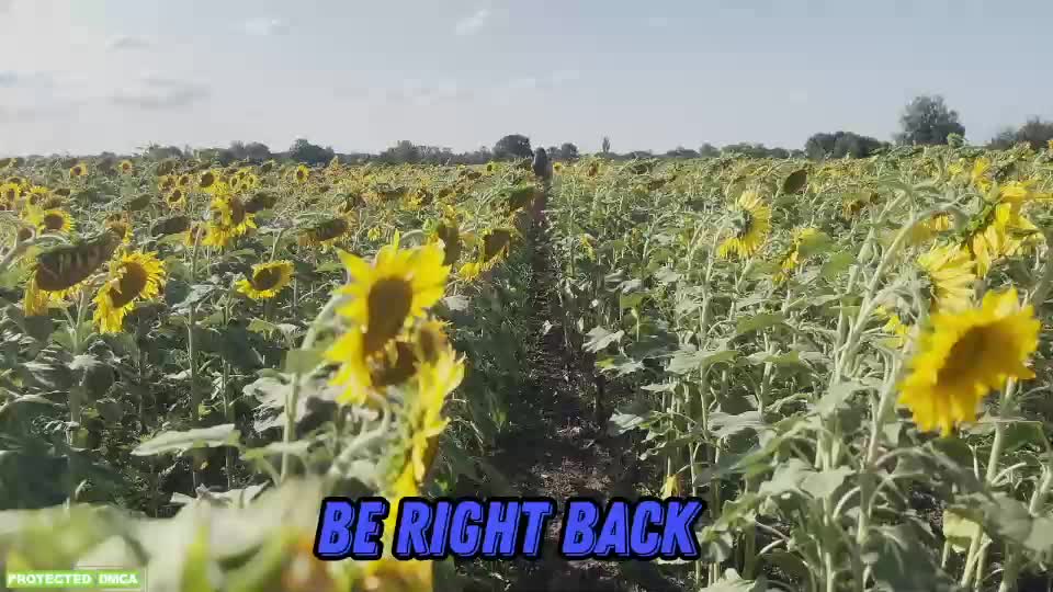 sunflower0907 Live Sex December 14, 2025