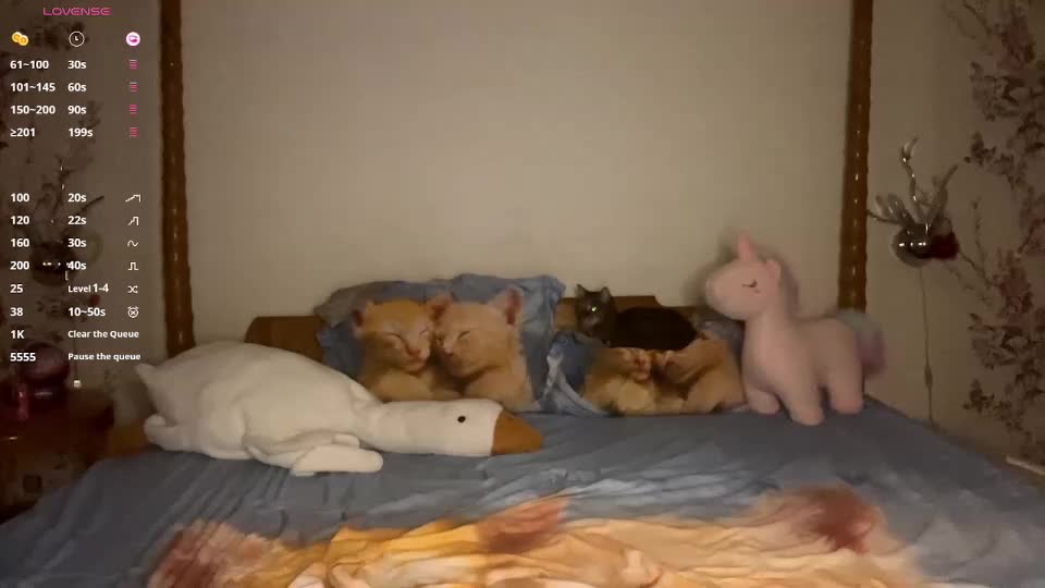 arabardon Live Sex December 12, 2025