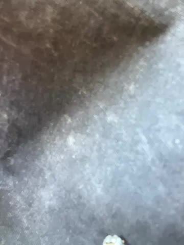 StasyWood Live Sex December 18, 2025